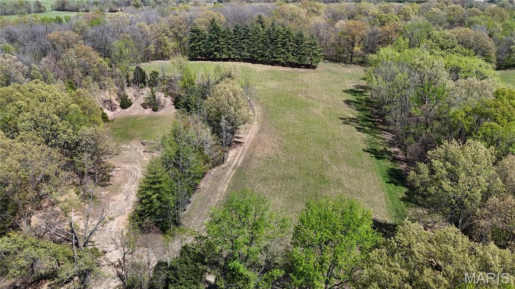 12503 County Road 292 Property Photo 35