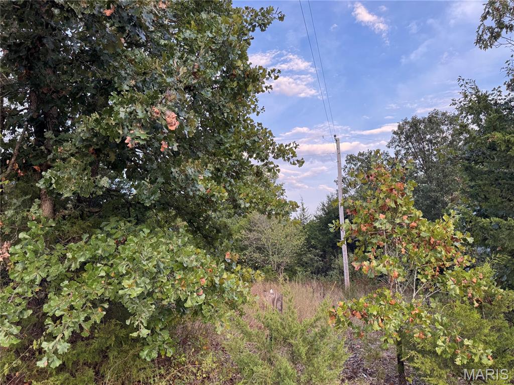 0 Calvin Lane Property Photo 10