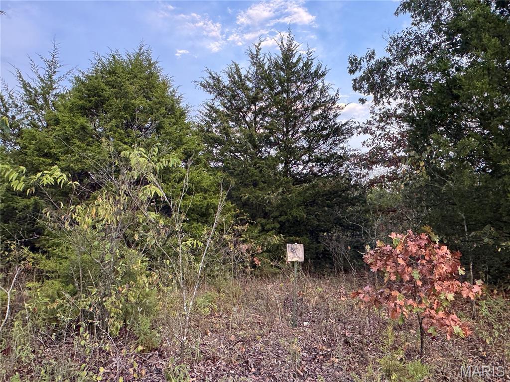 0 Calvin Lane Property Photo 10