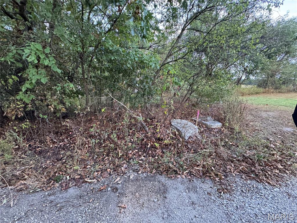 0 Calvin Lane Property Photo 12