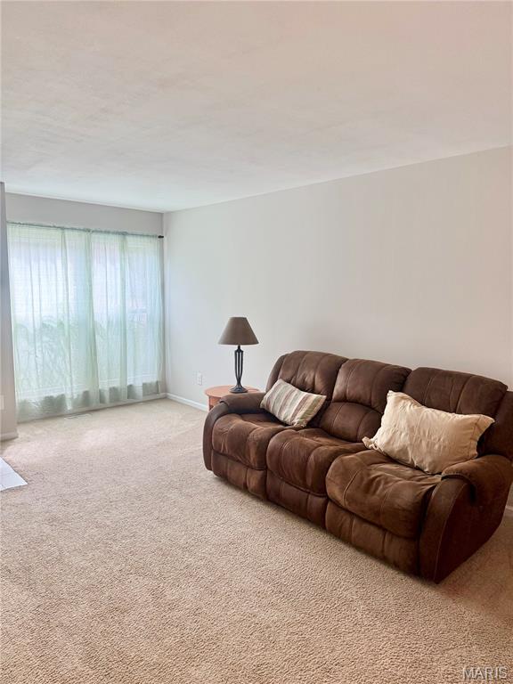 151 Cascade Terrace Drive Property Photo 10