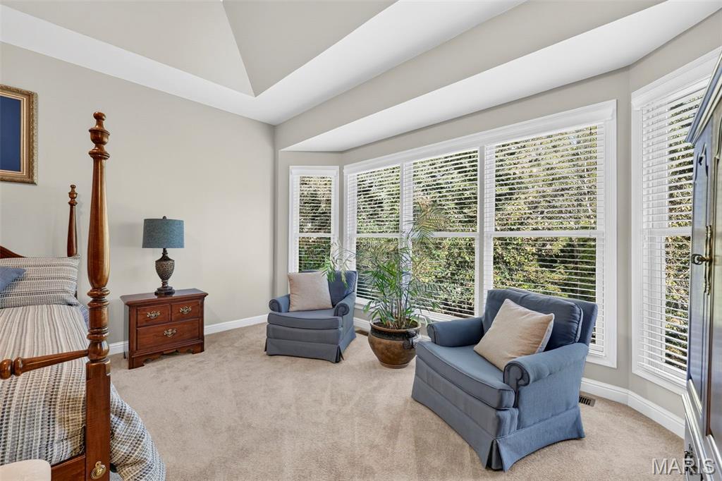 45 Boulder Creek Court Property Photo 42