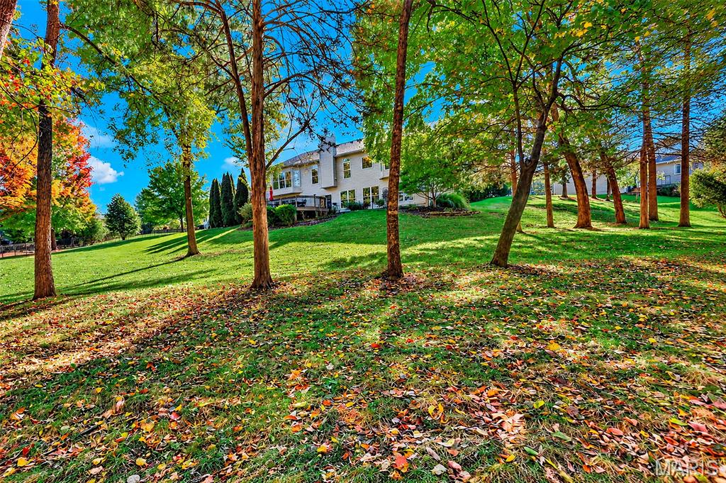 45 Boulder Creek Court Property Photo 73