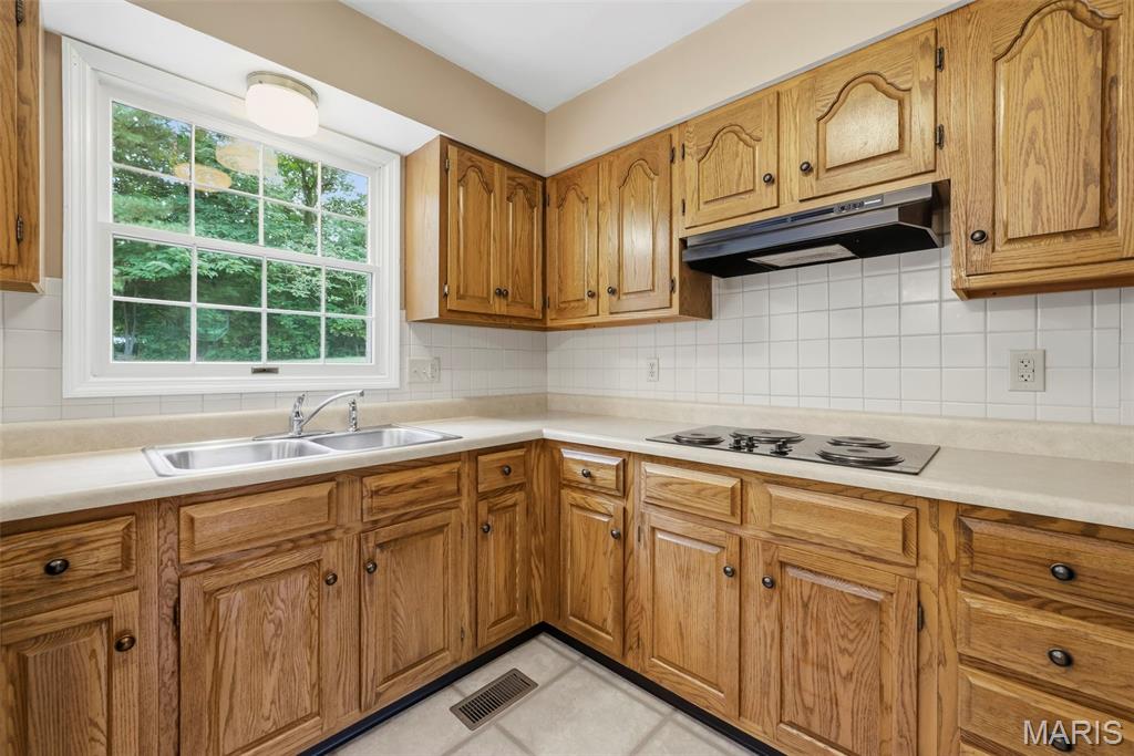 176 Spring Oaks Drive Property Photo 19