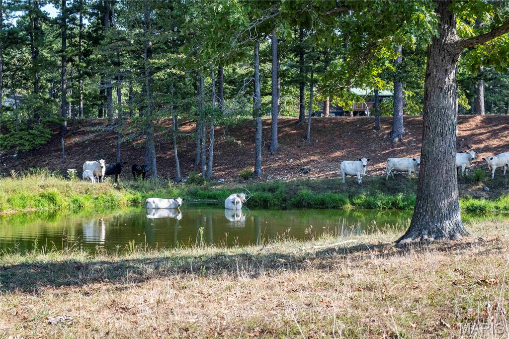00 Highway 72 Property Photo 3