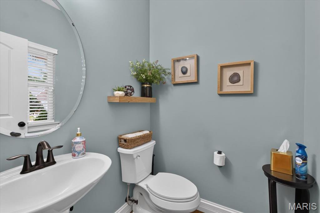 1302 Spring Lilly Drive Property Photo 19