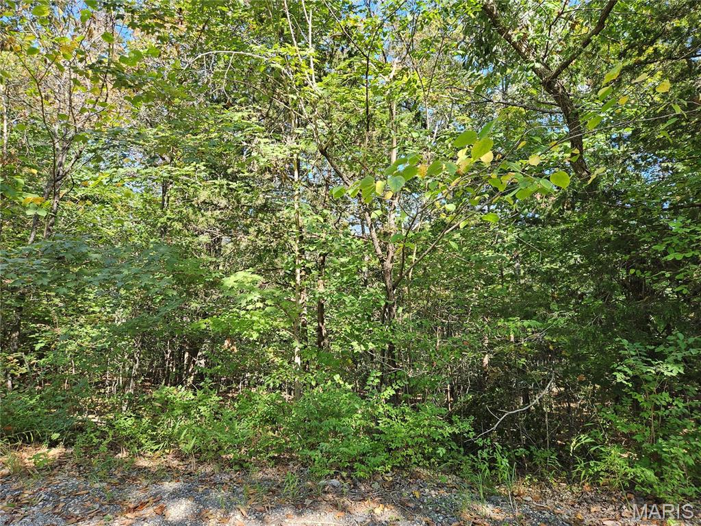 9488 Bent Tree Drive Property Photo 1