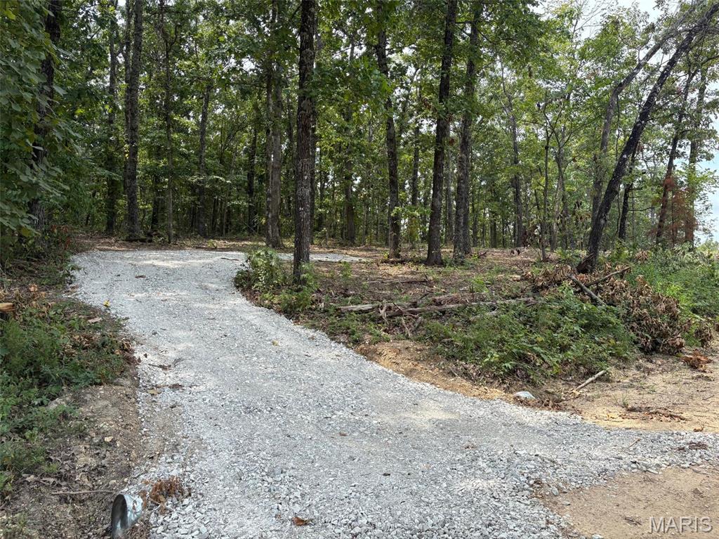 Tbd 006 M- Cantrell Road Property Photo 2