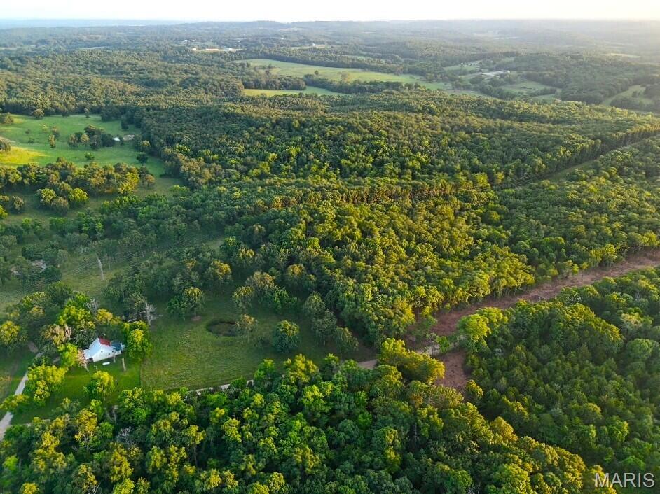 Tbd 006 M- Cantrell Road Property Photo 3