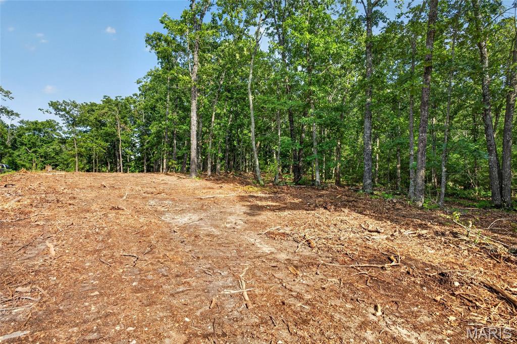 Tbd 006 M- Cantrell Road Property Photo 8