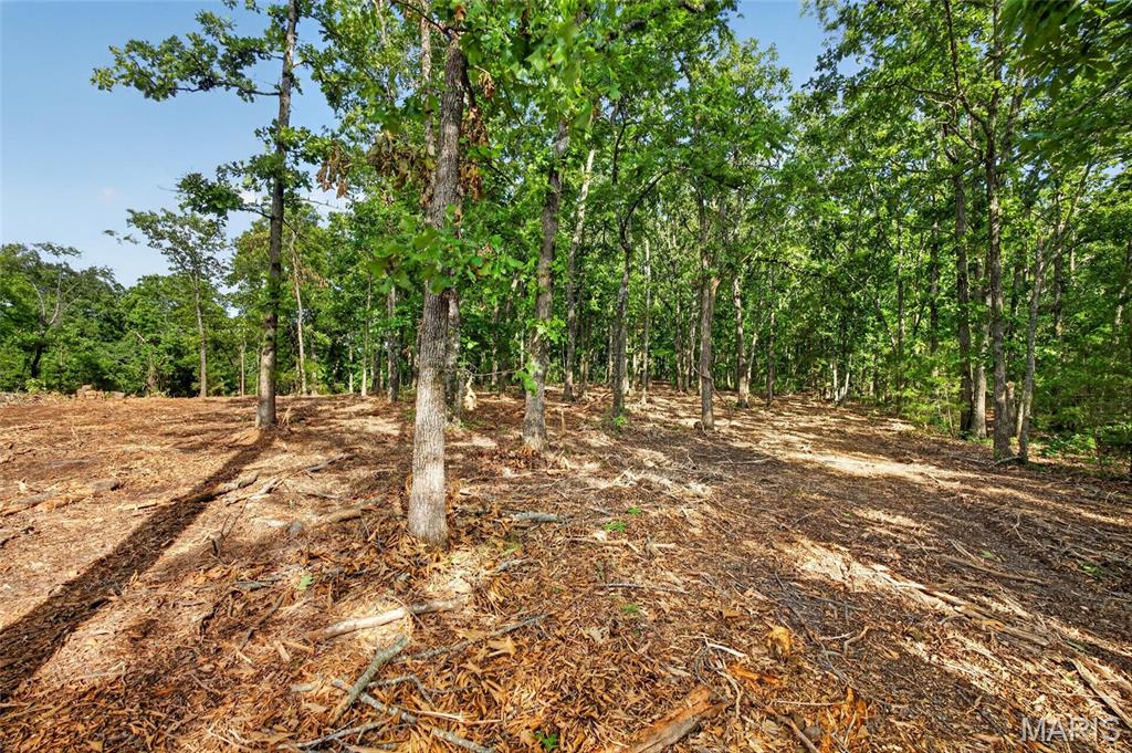 Tbd 006 M- Cantrell Road Property Photo 9