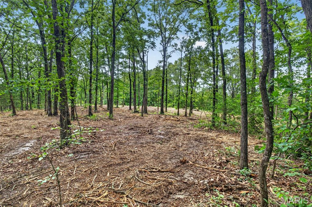 Tbd 006 M- Cantrell Road Property Photo 10