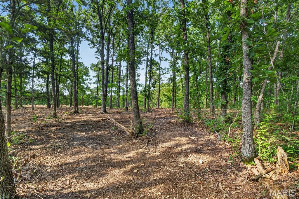 Tbd 006 M- Cantrell Road Property Photo 11