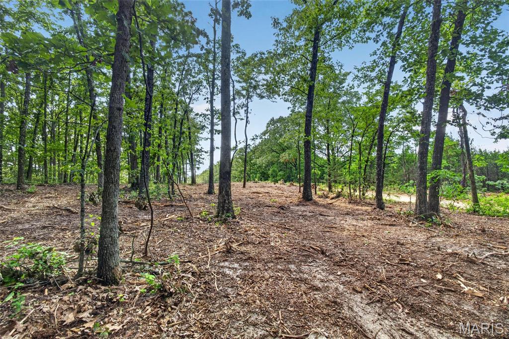 Tbd 006 M- Cantrell Road Property Photo 12