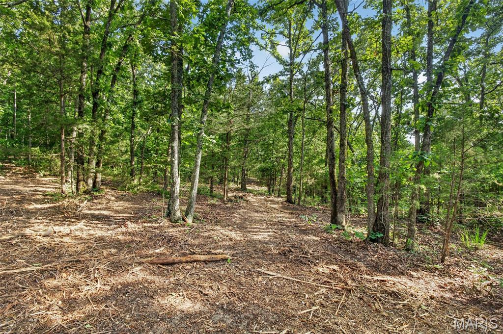 Tbd 006 M- Cantrell Road Property Photo 13