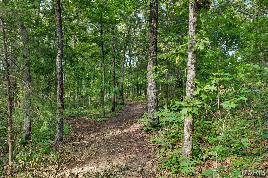 Tbd 006 M- Cantrell Road Property Photo 14