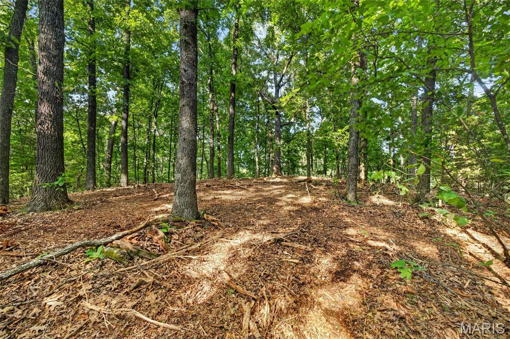 Tbd 006 M- Cantrell Road Property Photo 18