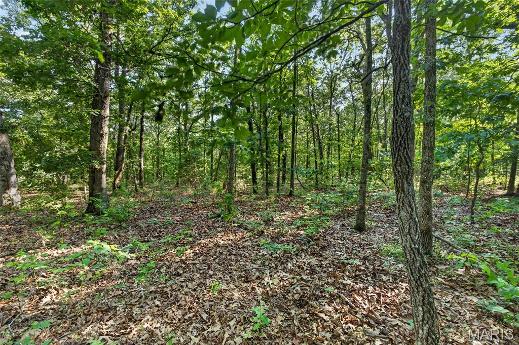 Tbd 006 M- Cantrell Road Property Photo 22
