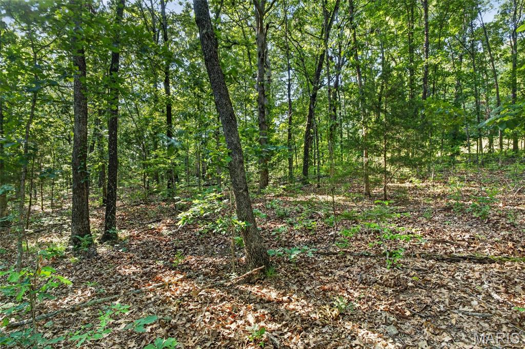 Tbd 006 M- Cantrell Road Property Photo 23