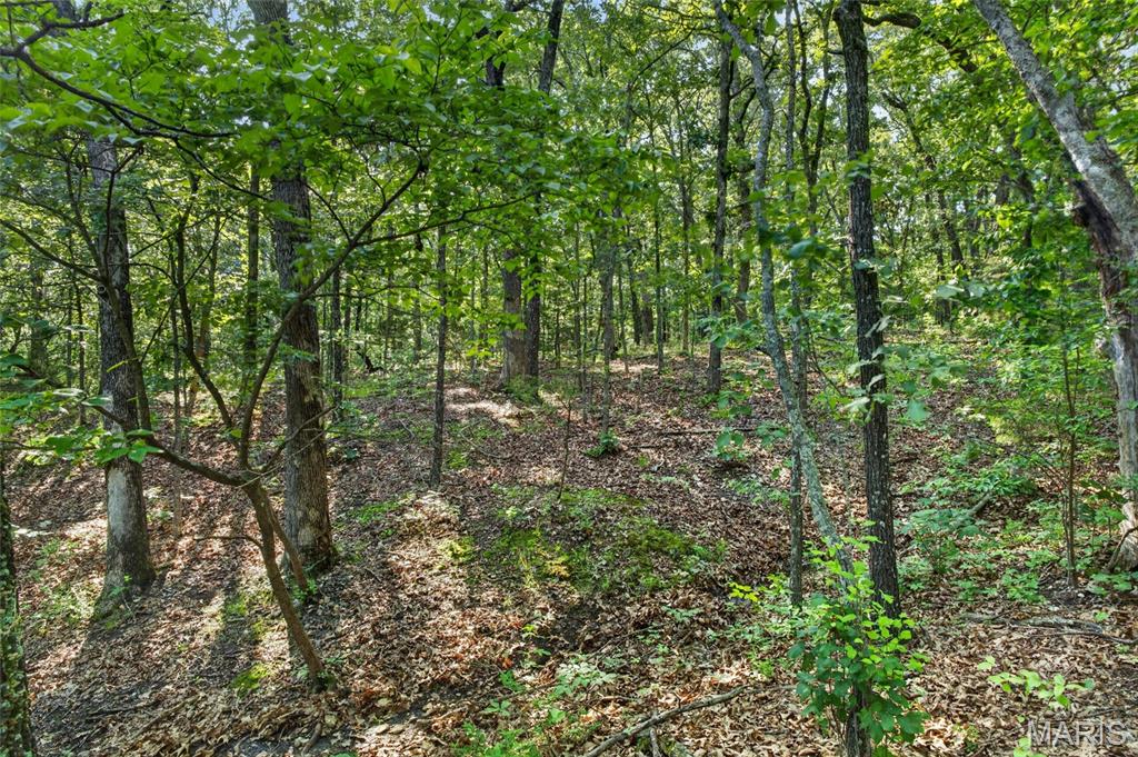 Tbd 006 M- Cantrell Road Property Photo 24