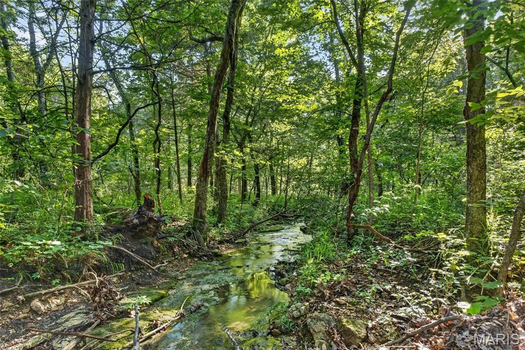 Tbd 006 M- Cantrell Road Property Photo 28