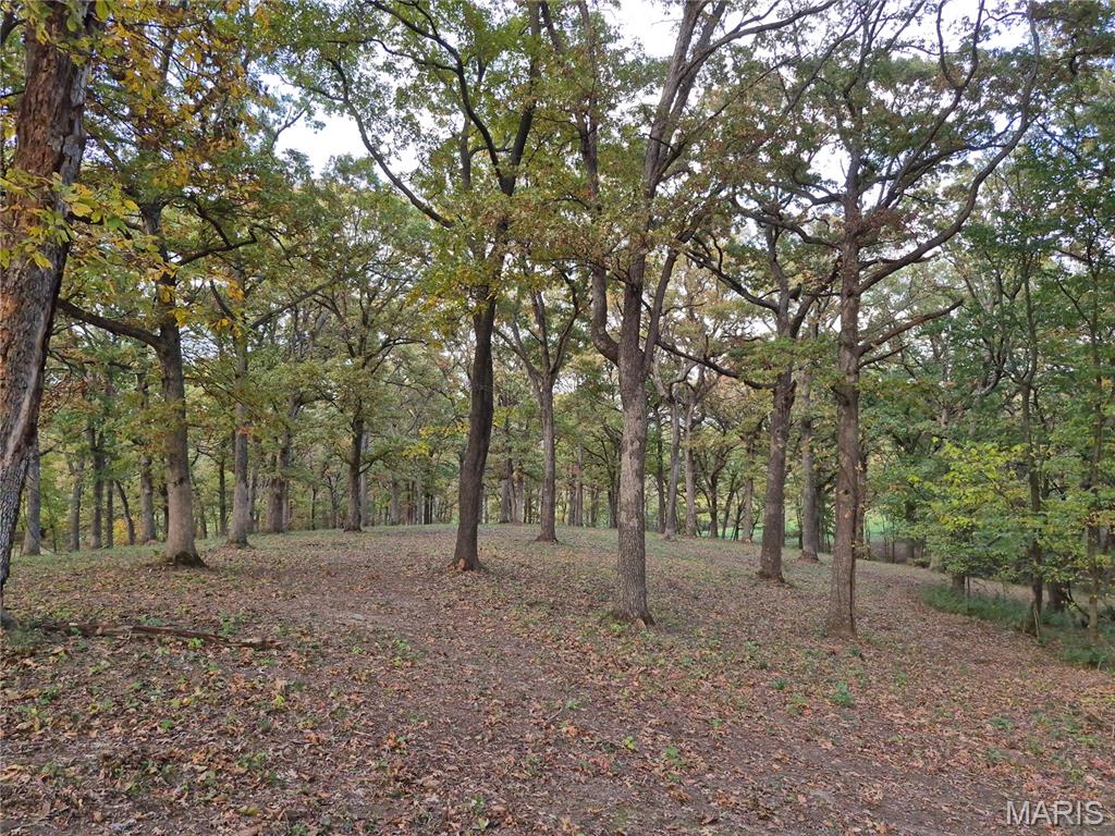 0 Highway D - Tract 5a (14+/- Acres) Property Photo 1