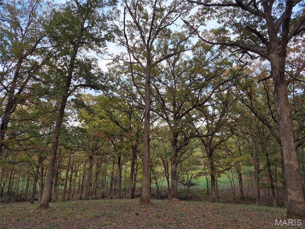 0 Highway D - Tract 5a (14+/- Acres) Property Photo 2