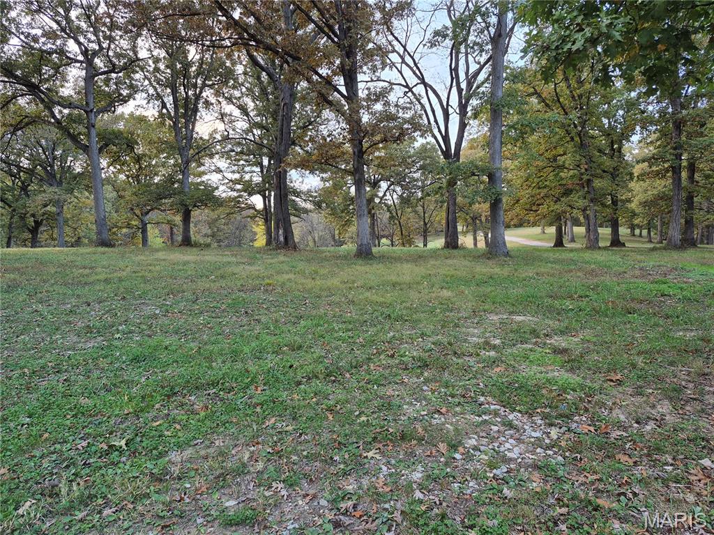 0 Highway D - Tract 5a (14+/- Acres) Property Photo 4