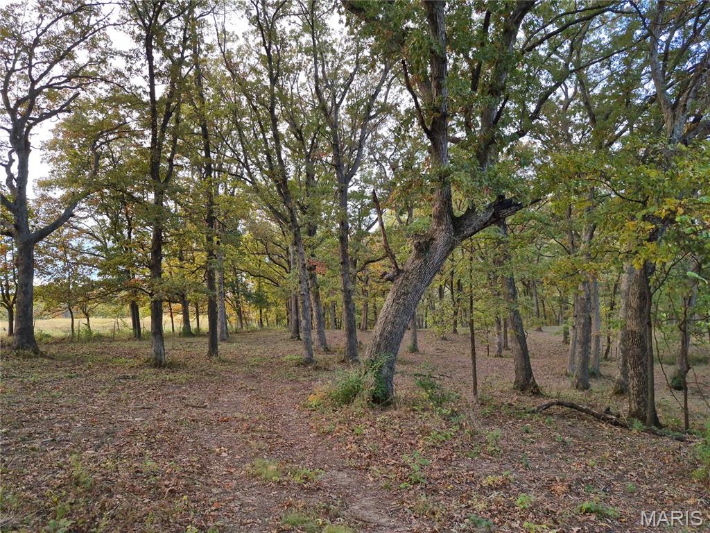 0 Highway D - Tract 5a (14+/- Acres) Property Photo 6