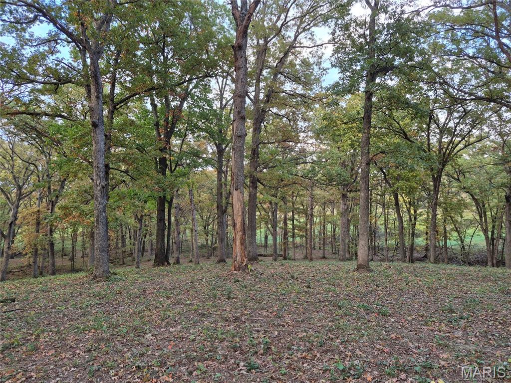 0 Highway D - Tract 5a (14+/- Acres) Property Photo 7