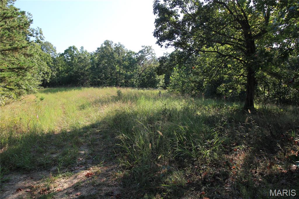 000 Coldwater Creek_lot 17 Property Photo 5