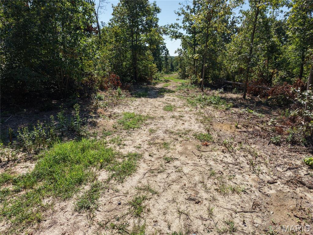 000 Coldwater Creek_lot 17 Property Photo 19