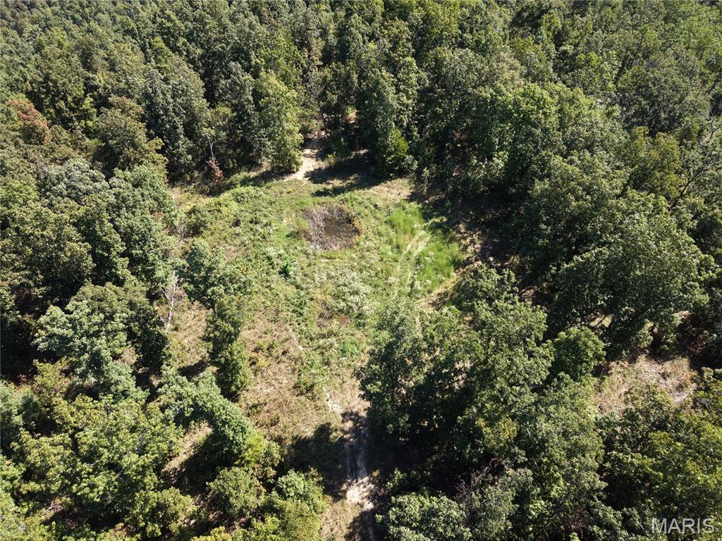 000 Coldwater Creek_lot 17 Property Photo 52