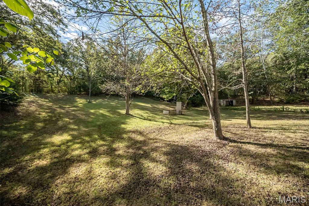 3216 Watson Road Property Photo 49