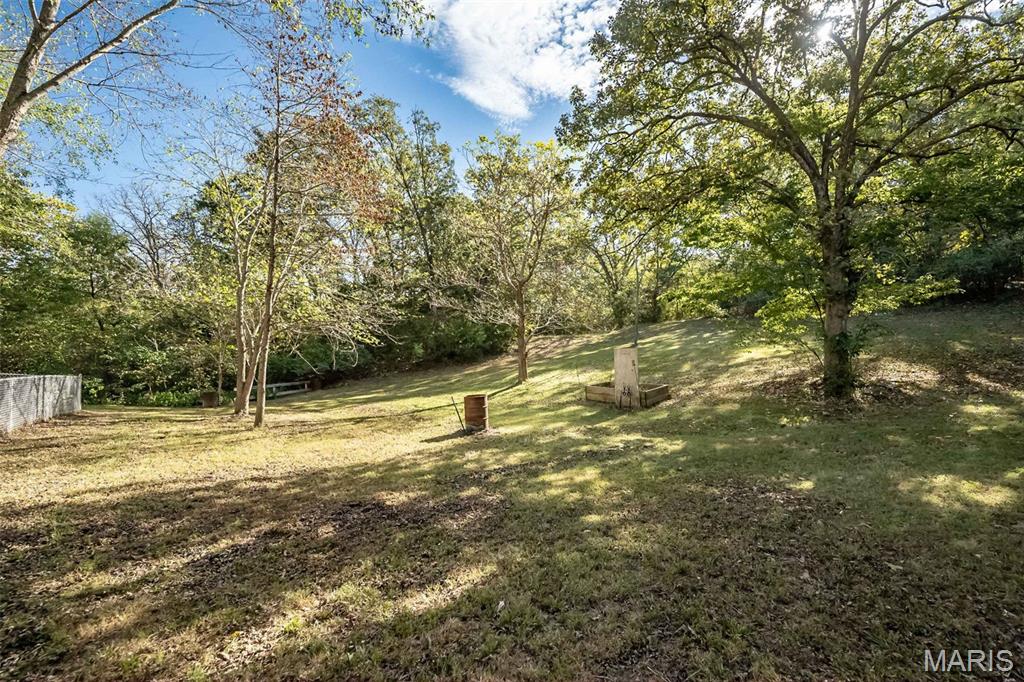 3216 Watson Road Property Photo 50