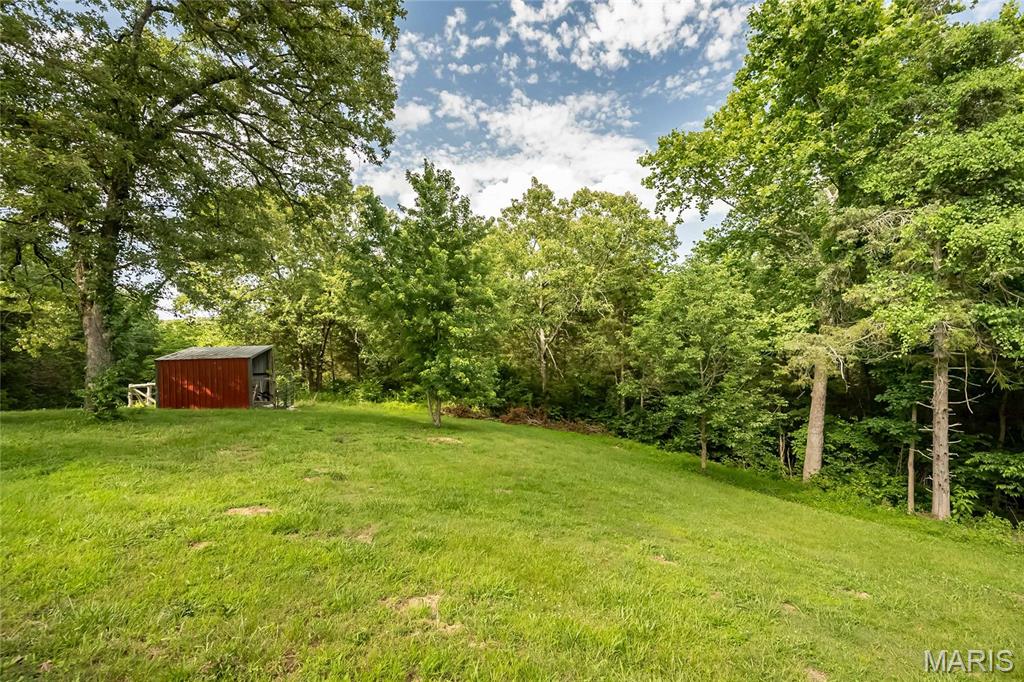 3216 Watson Road Property Photo 64