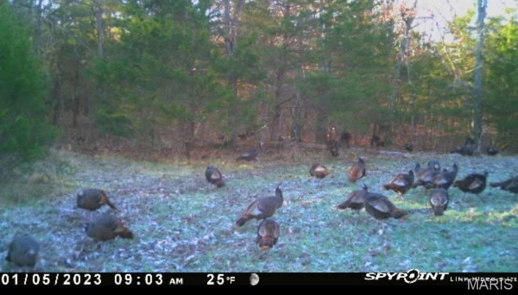 33020 Hall Rd Property Photo 22