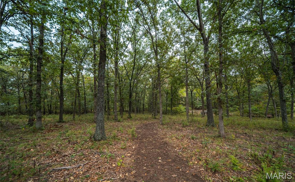 12650 County Road 8010 Property Photo 35