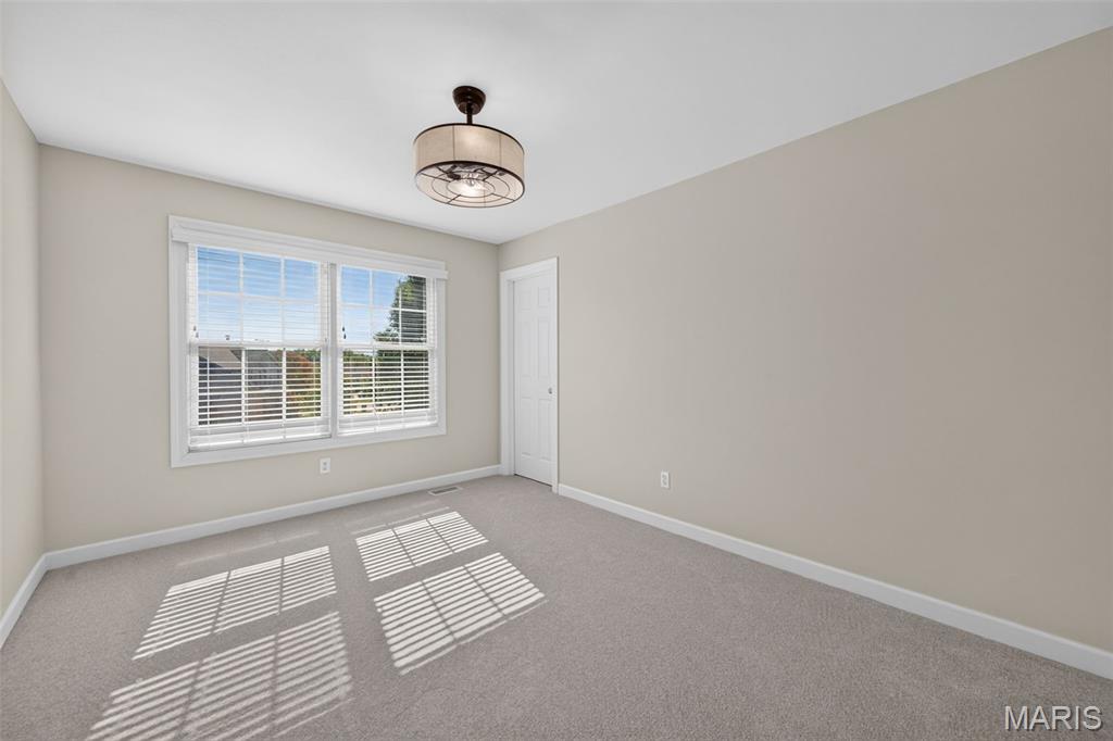 1248 Twinleaf Circle Property Photo 61