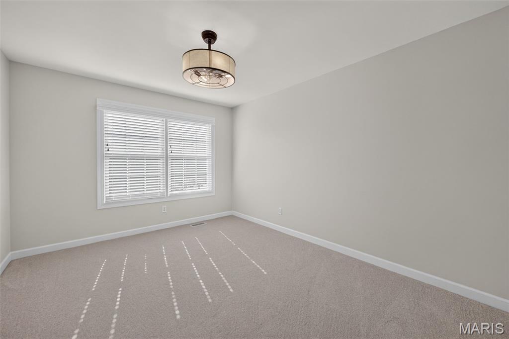 1248 Twinleaf Circle Property Photo 65
