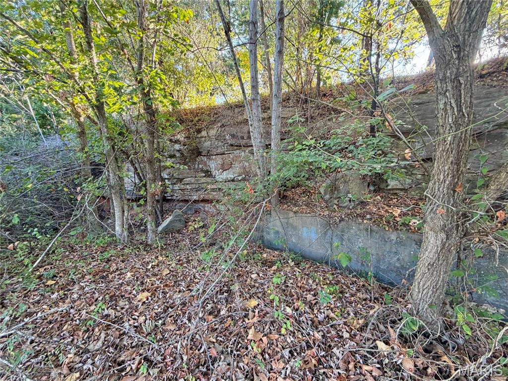 0 Hwy 63 Property Photo 50