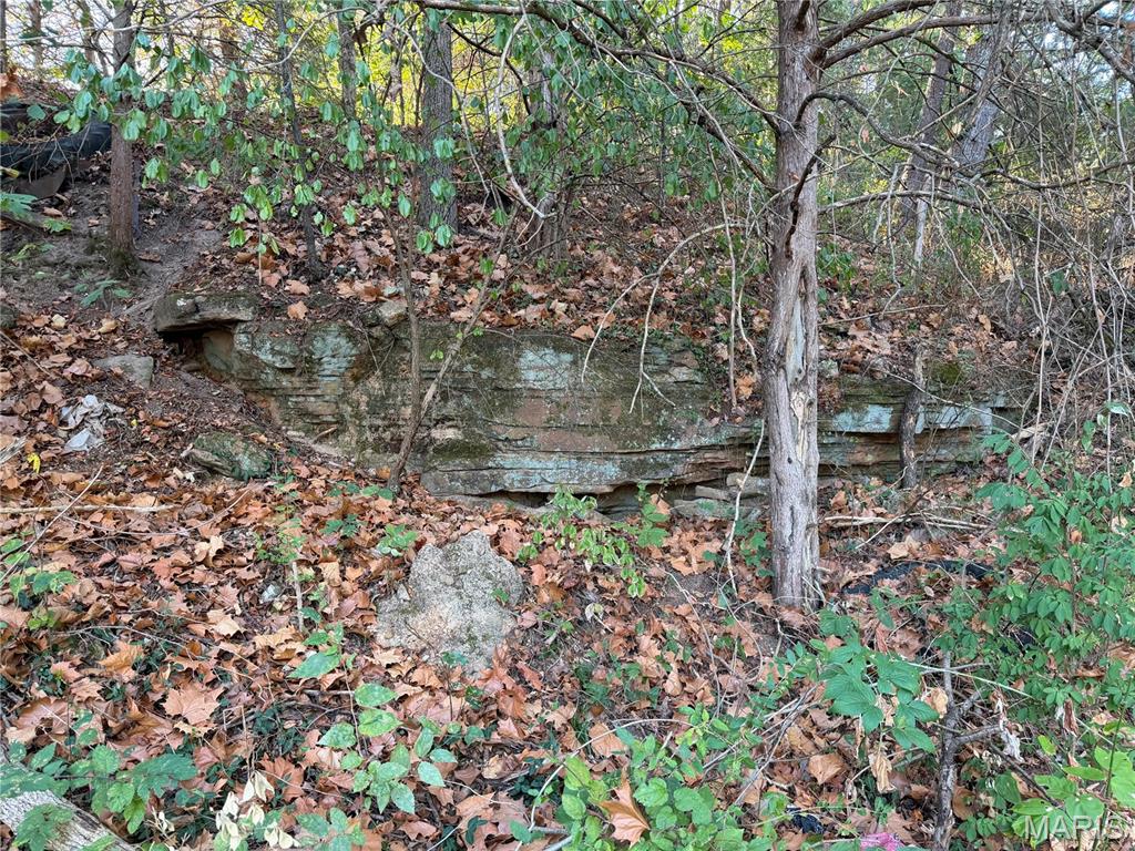 0 Hwy 63 Property Photo 51