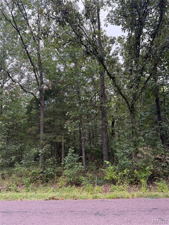 2128 Lone Wolf Drive Property Photo 1