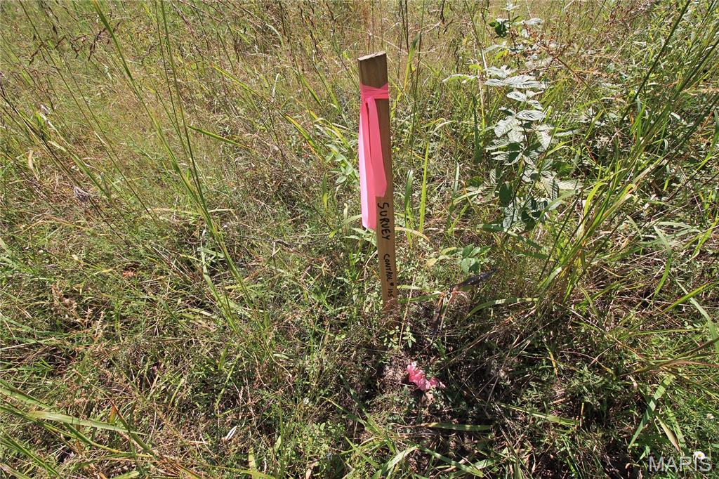 000 Coldwater Creek_lot 19 Property Photo 18