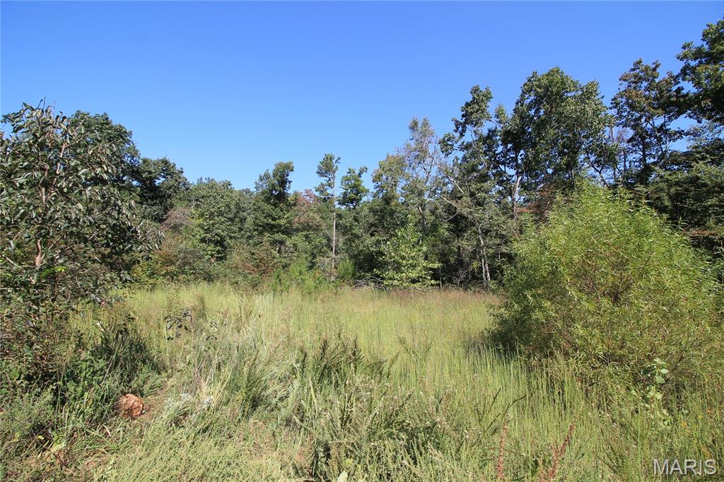 000 Coldwater Creek_lot 19 Property Photo 31
