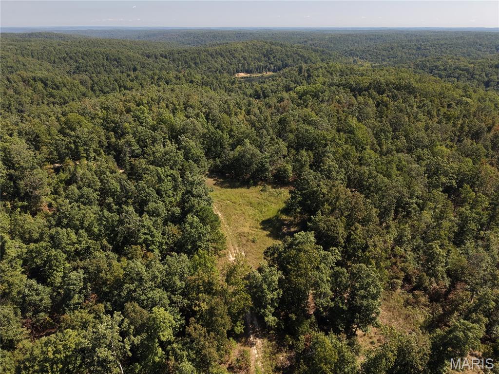 000 Coldwater Creek_lot 19 Property Photo 38
