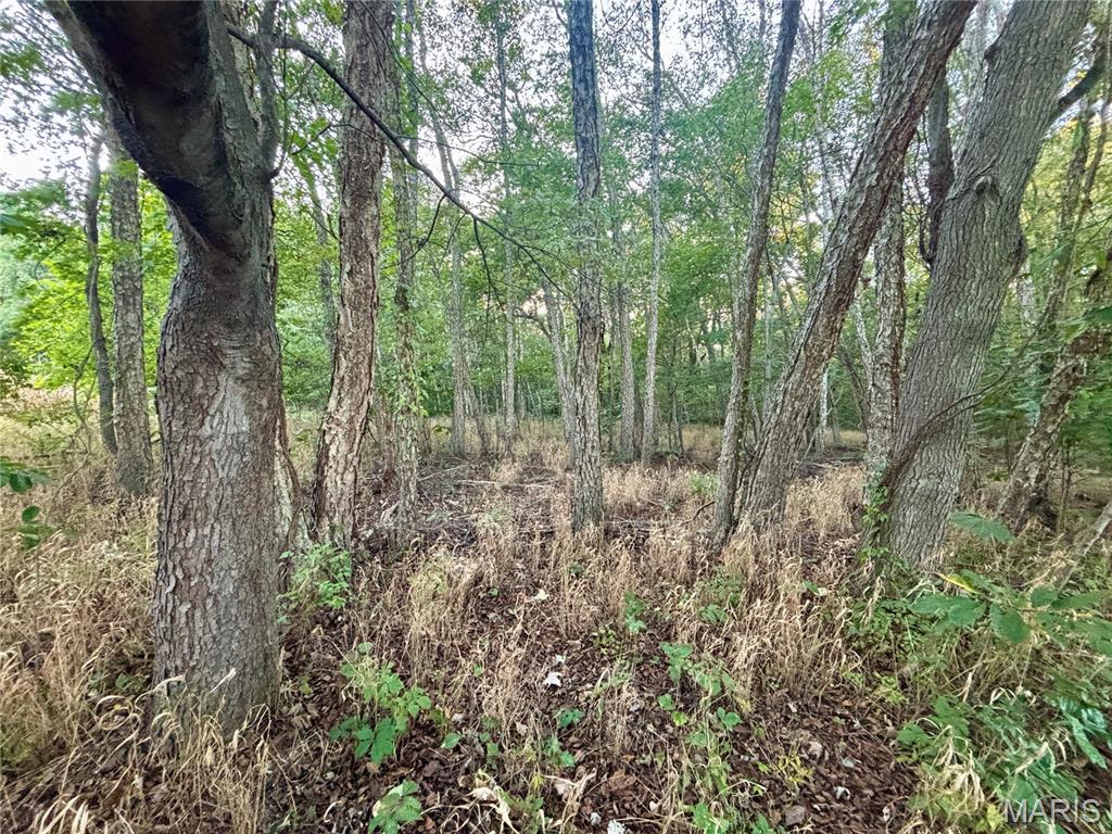 00 North Drivers Lane Property Photo 19