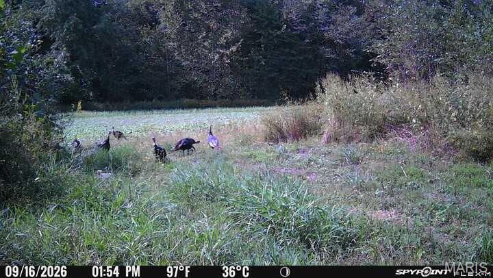 00 North Drivers Lane Property Photo 24