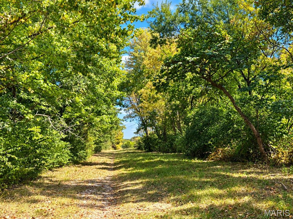 3735-a State Road Aa Property Photo 9