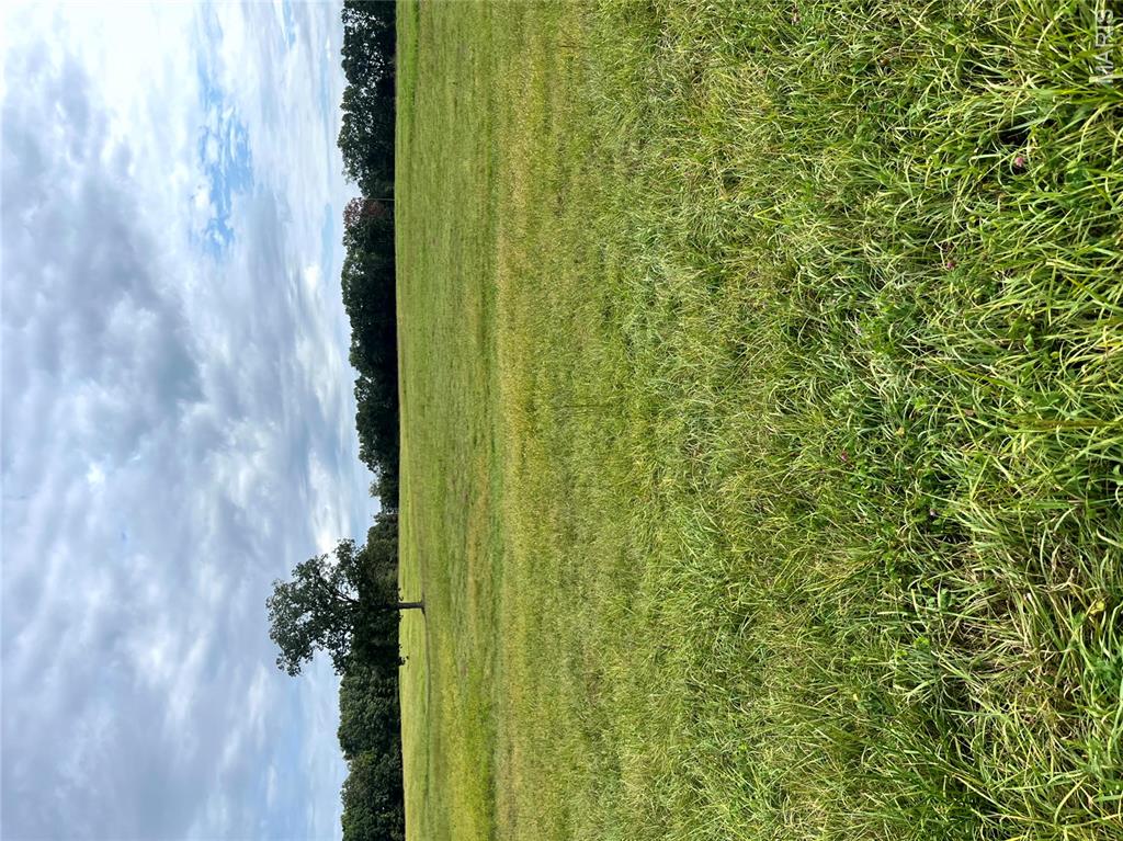 19.87 Acres On Highway C Property Photo 1